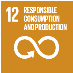 Responsible consumption and production